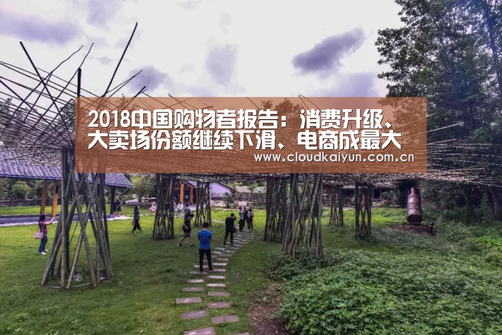 2018中国购物者报告：消费升级、大卖场份额继续下滑、电商成