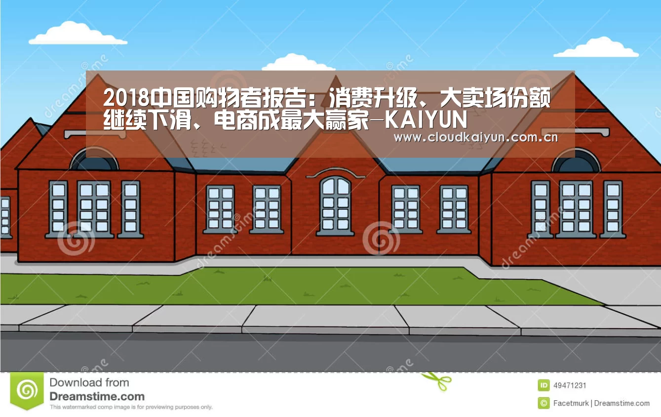 2018中国购物者报告:消费升级、大卖场份额继续下滑、电商成最大赢家-KAIYUN(图2) 2018中国购物者报告:消费升级、大卖场份额继续下滑、电商成最大赢家-KAIYUN(图2)