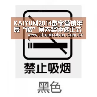 KAIYUN|2014数字营销年度“酷”案大奖评选正式启动!(图1) KAIYUN|2014数字营销年度“酷”案大奖评选正式启动!(图1)