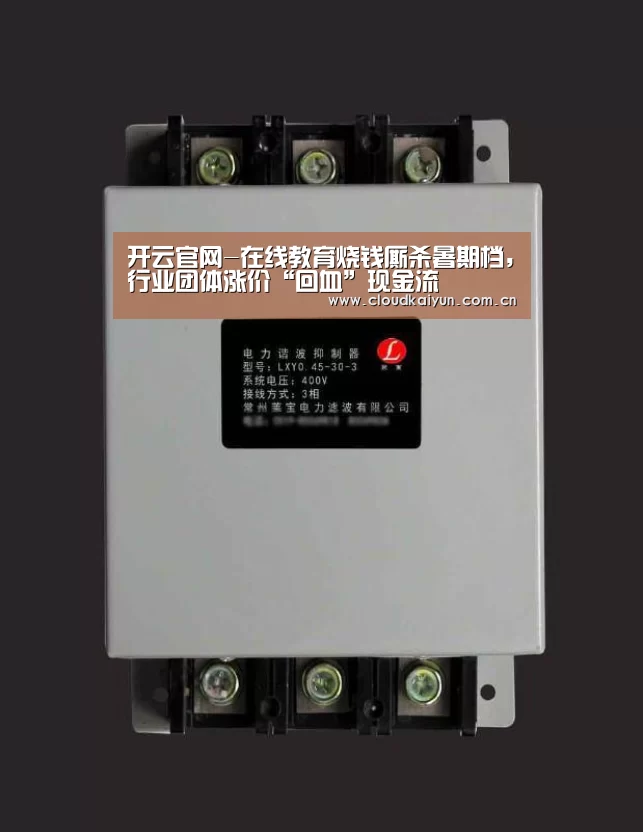 开云官网-在线教育烧钱厮杀暑期档,行业团体涨价“回血”现金流(图2) 开云官网-在线教育烧钱厮杀暑期档,行业团体涨价“回血”现金流(图2)