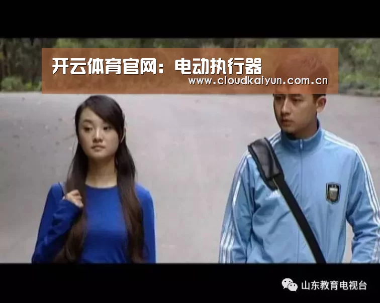 开云体育官网:电动执行器(图1) 开云官网