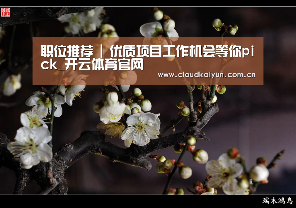 职位推荐 | 优质项目工作机会等你pick_开云体育官网(图2) 职位推荐 | 优质项目工作机会等你pick_开云体育官网(图2)